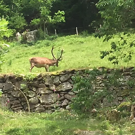 Aux Deux Ruisseaux Feriehus