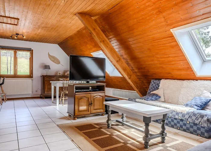 Hébergement de vacances Aux Deux Ruisseaux Le Bonhomme